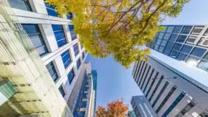 מס ברכישת משרד